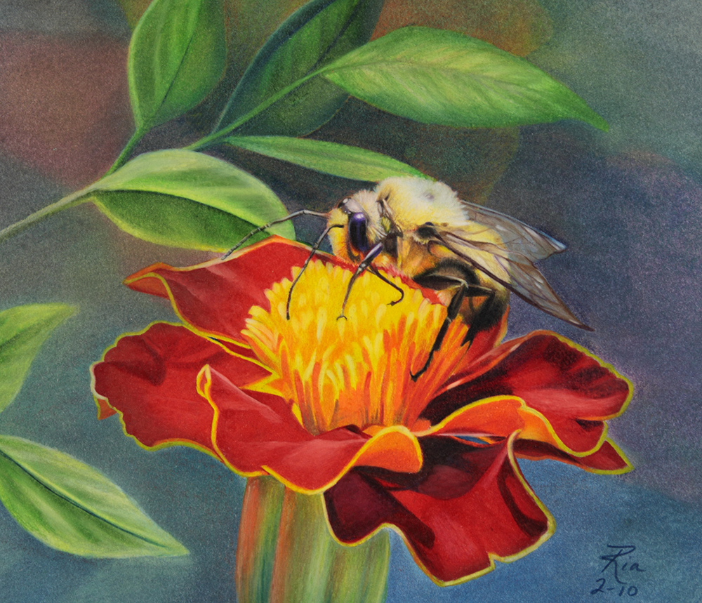 Little Bumblebee by Ria Fine Art