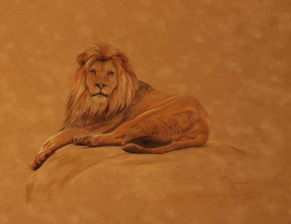 Suede Lion by Ria Fine Art