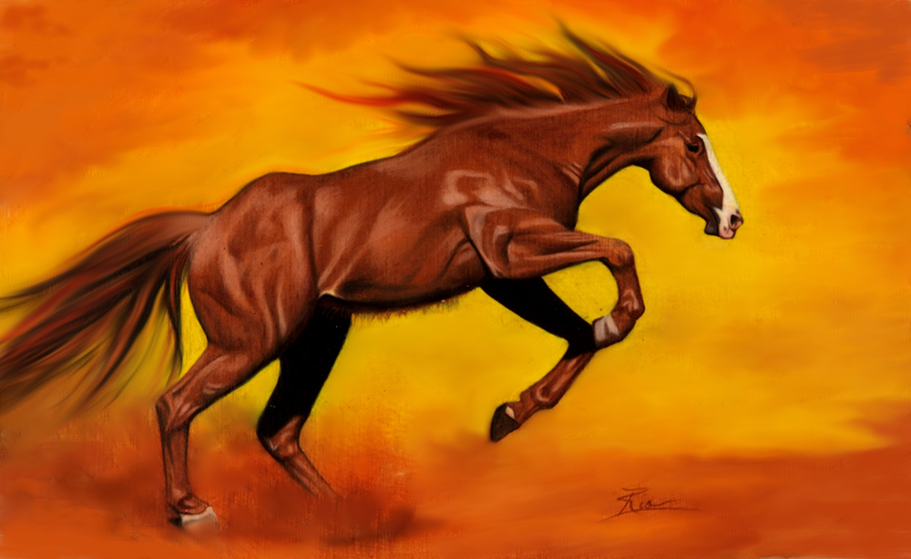Wild Horse by Ria Fine Art