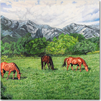Horses Grazing - Click to Enlarge Image