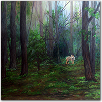 Coyote in the Woods - Click to Enlarge Image