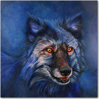 Out of the Night: Blue Wolf at Midnight - Click to Enlarge Image