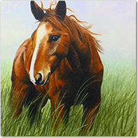 Horse in the Wind - Click to Enlarge Image