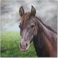 Brown Horse - Click to Enlarge Image