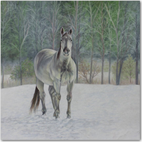White Stallion - Click to Enlarge Image