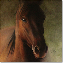 Horses Face - Click to Enlarge Image