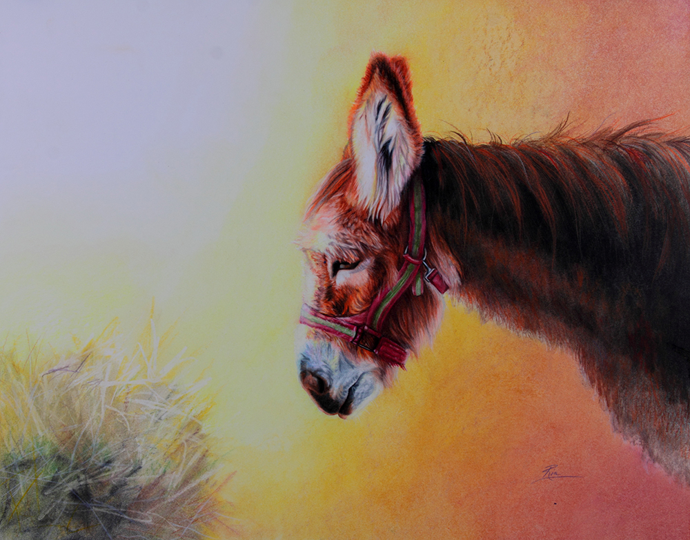 Christmas Donkey by Ria Fine Art