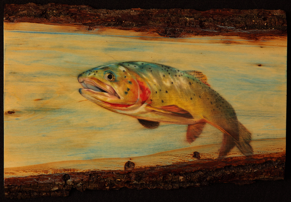 Cutthroat Trout on Wood by Ria Fine Art