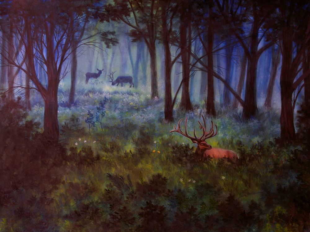 Elk in a Meadow by Ria Fine Art