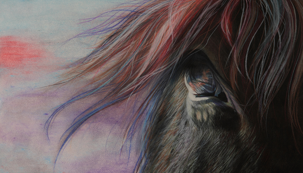 Horses Eye by Ria Fine Art