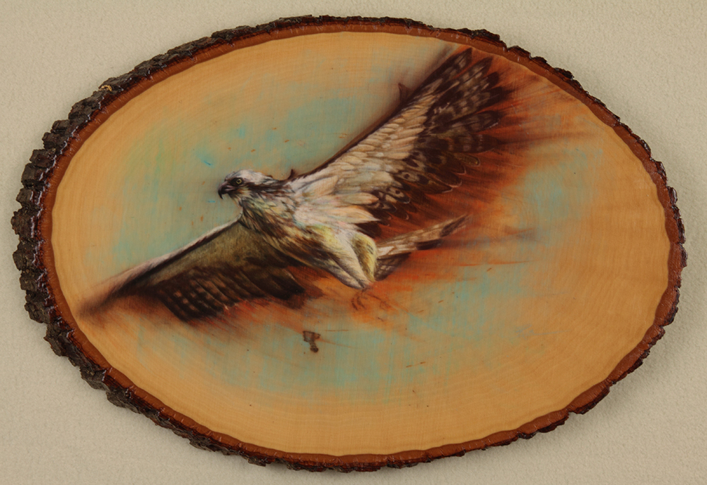 Osprey on Wood by Ria Fine Art