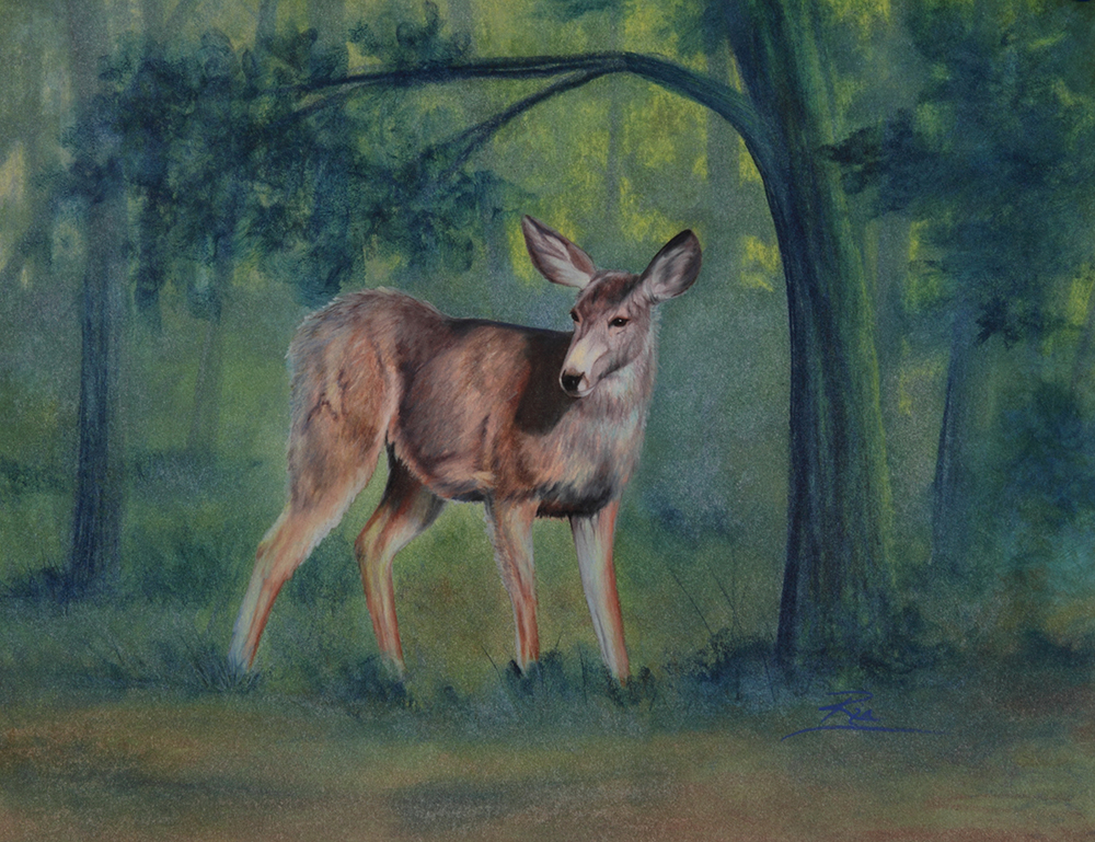 Spring Deer by Ria Fine Art