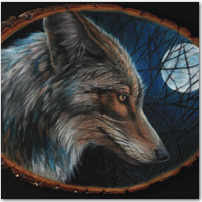Coyote Moon - Click to Enlarge Image