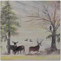 Deer Tracks - Click to Enlarge Image