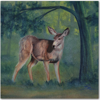 Spring Deer - Click to Enlarge Image