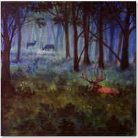 Elk in a Meadow - Click to Enlarge Image