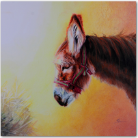 Christmas Donkey - Click to Enlarge Image