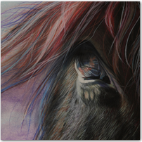 Horse's Eye - Click to Enlarge Image