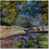 Deer In Forest - Click to Enlarge Image
