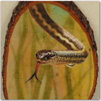 Water Snake on Wood - Click to Enlarge Image