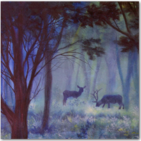 Deer in the Woods - Click to Enlarge Image