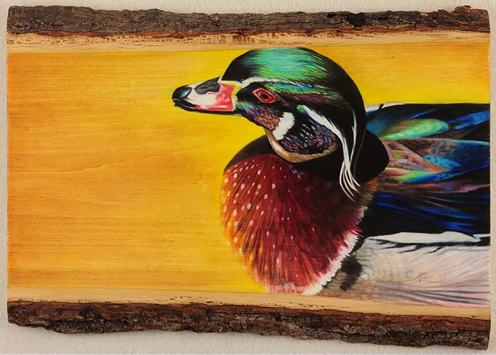 Duck on Wood by Ria Fine Art