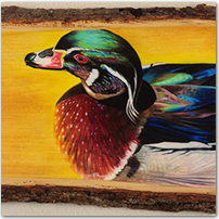 Duck on Wood - Click to Enlarge Image
