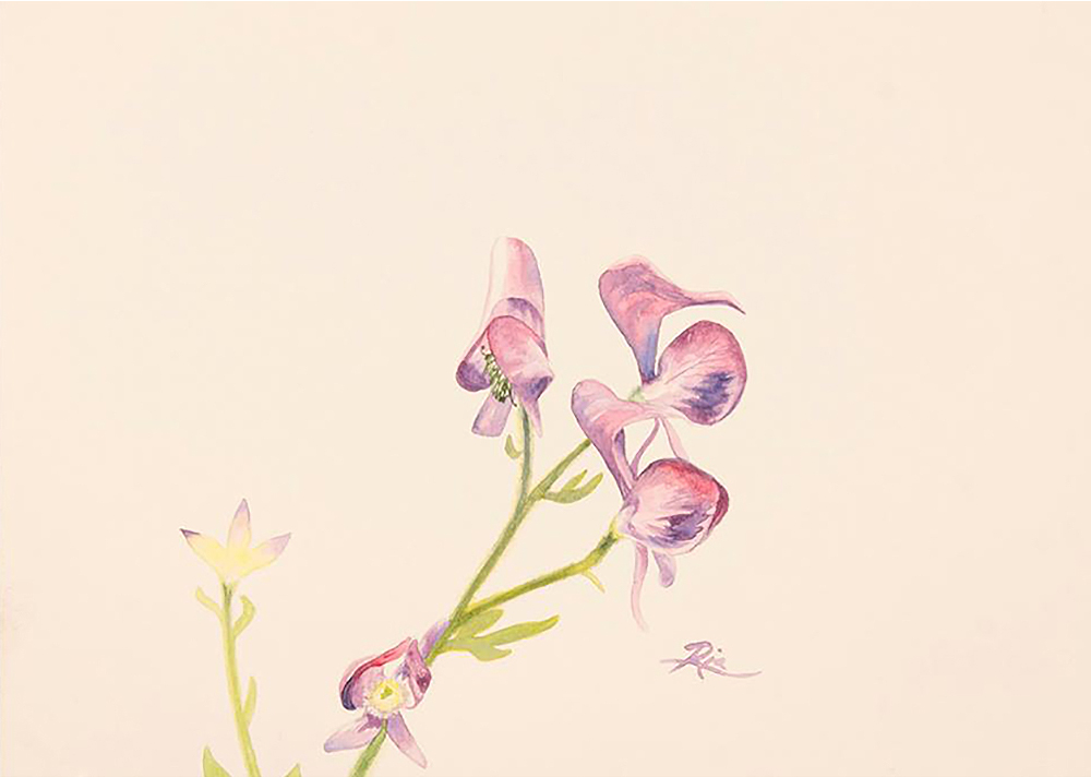 Purple Flowers by Ria Fine Art