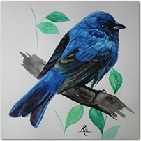 Blue Bird - Click to Enlarge Image