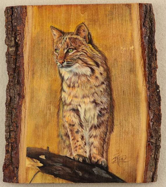 Bobcat On Wood by Ria Fine Art