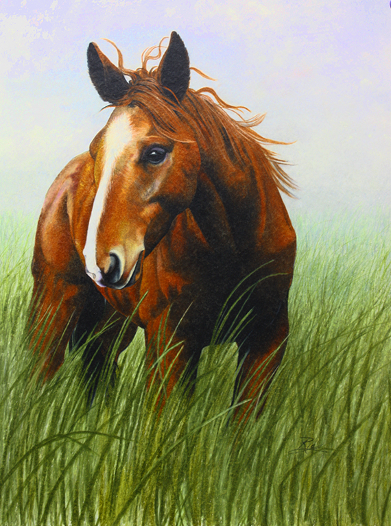 Horse in the Wind by Ria Fine Art