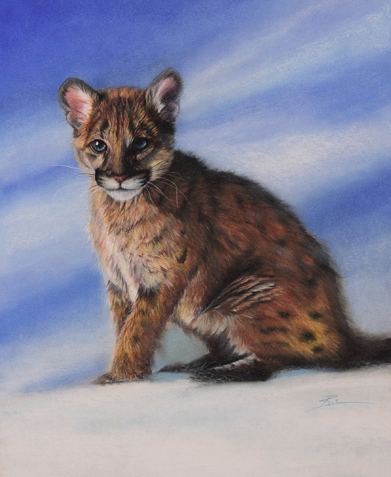 Little Cougar Cub by Ria Fine Art