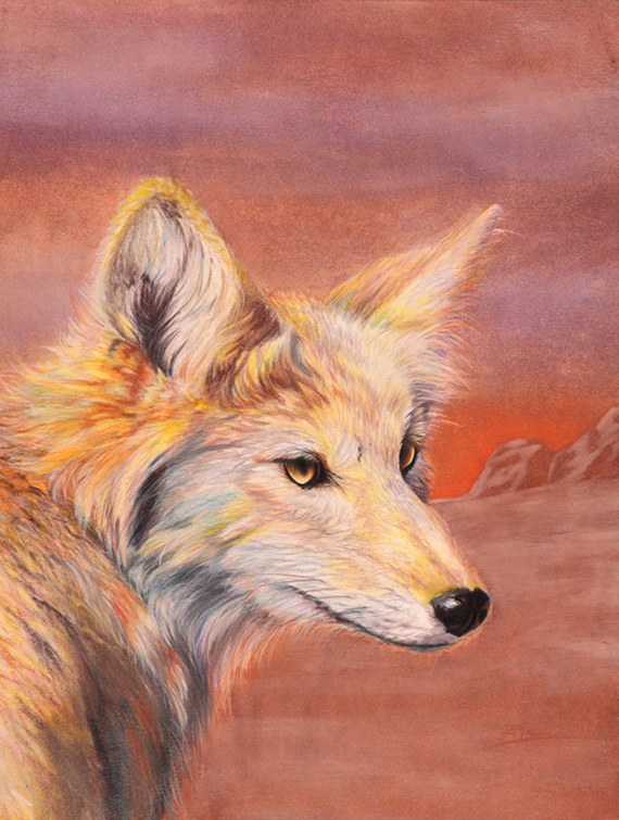 Little Coyote by Ria Fine Art