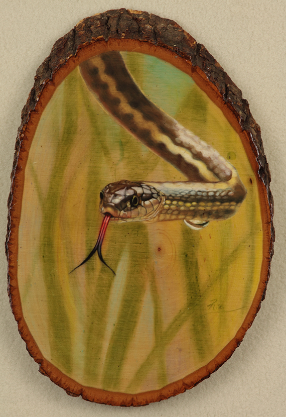 Water Snake On Wood by Ria Fine Art